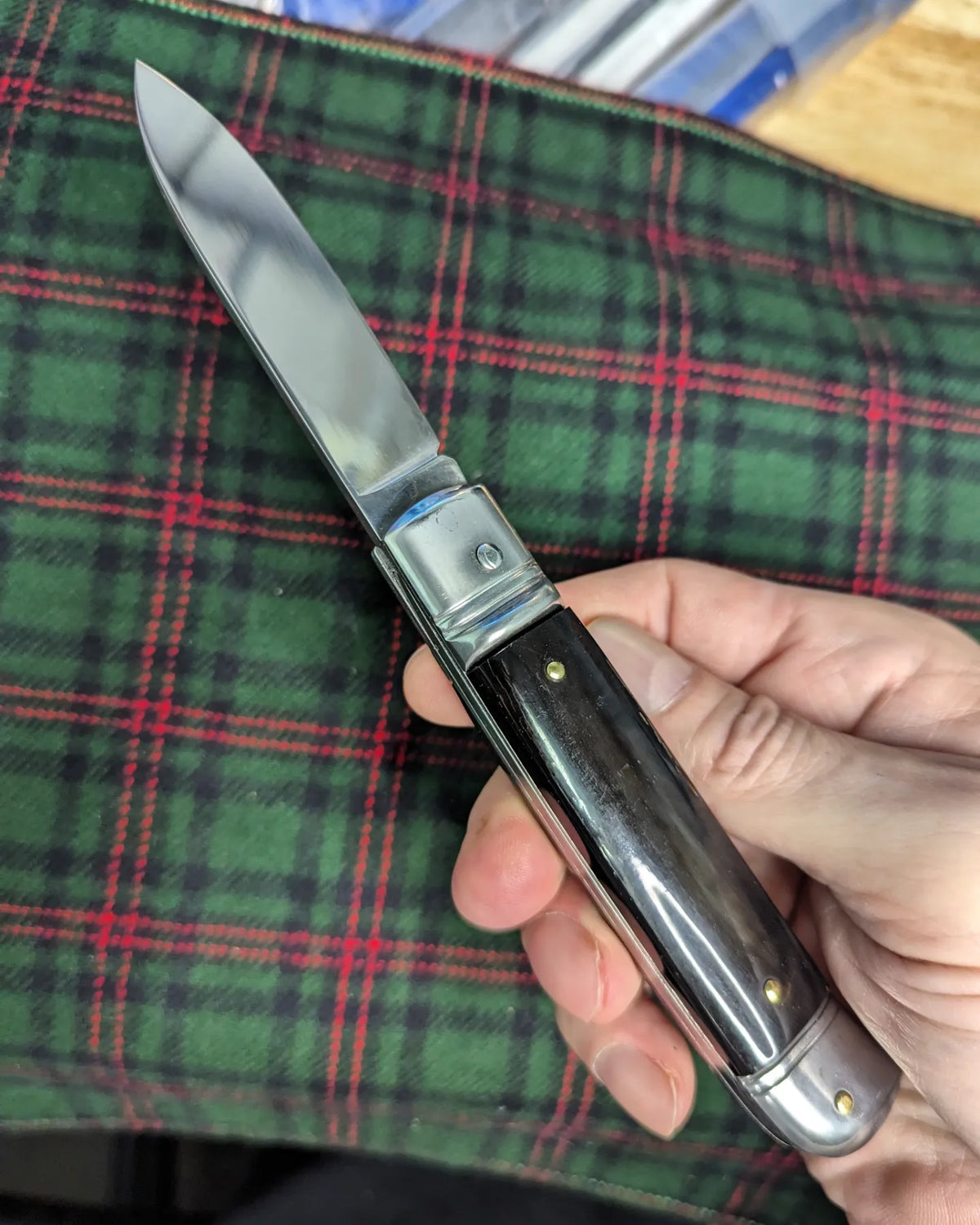 AKC ITALY BUFFALO HORN AUTOMATIC LEVERLOCK 1