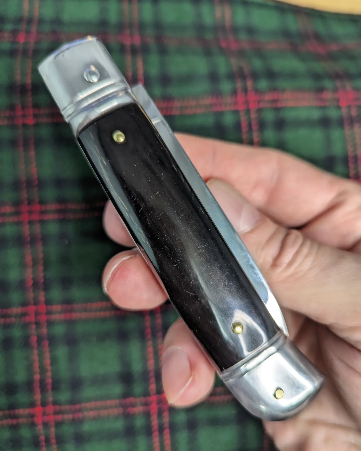 AKC ITALY BUFFALO HORN AUTOMATIC LEVERLOCK 1
