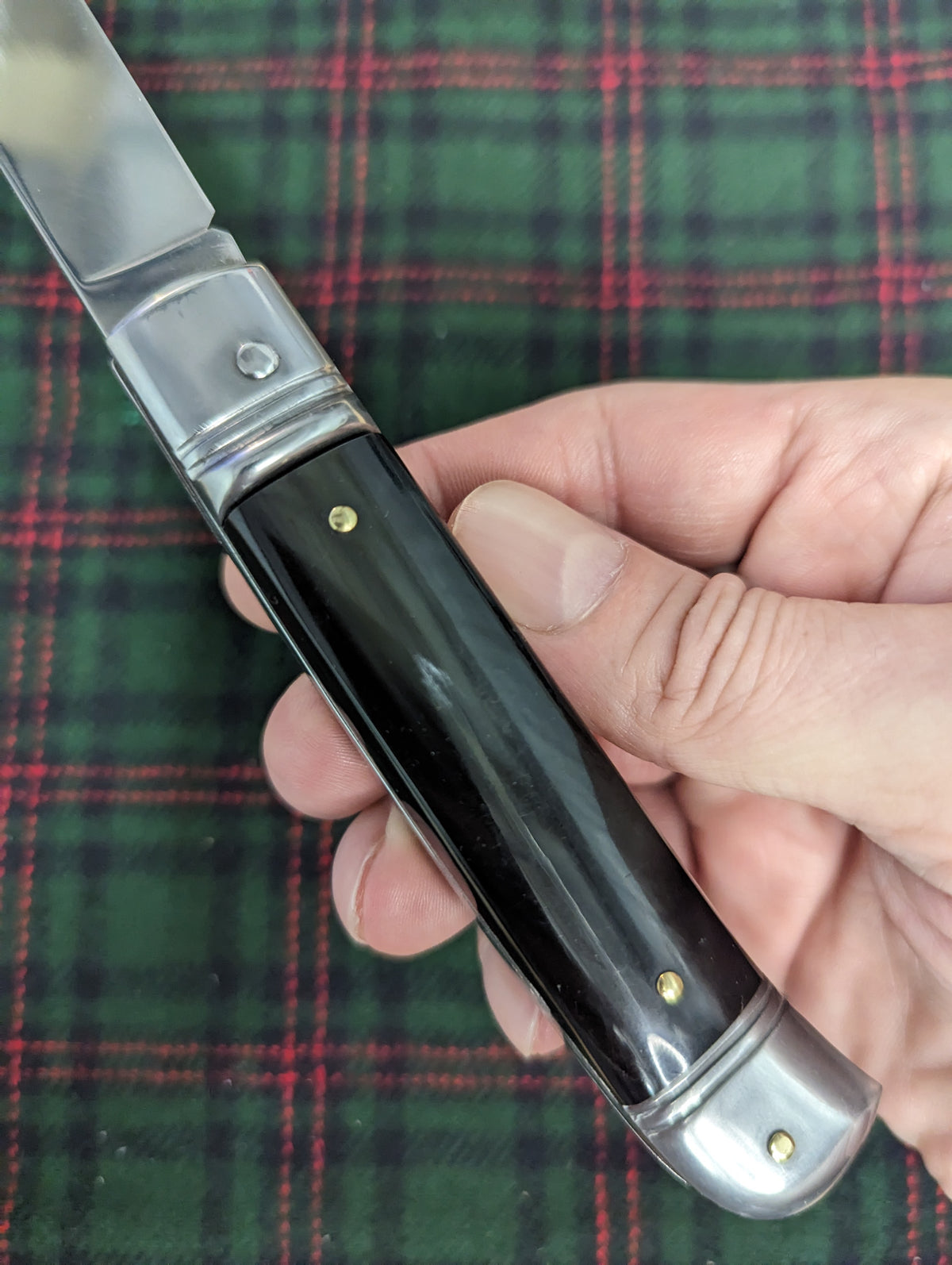 AKC ITALY BUFFALO HORN AUTOMATIC LEVERLOCK 2