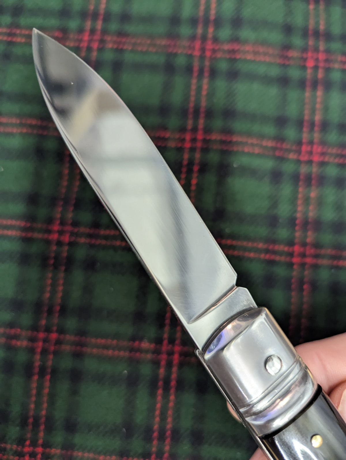 AKC ITALY BUFFALO HORN AUTOMATIC LEVERLOCK 2