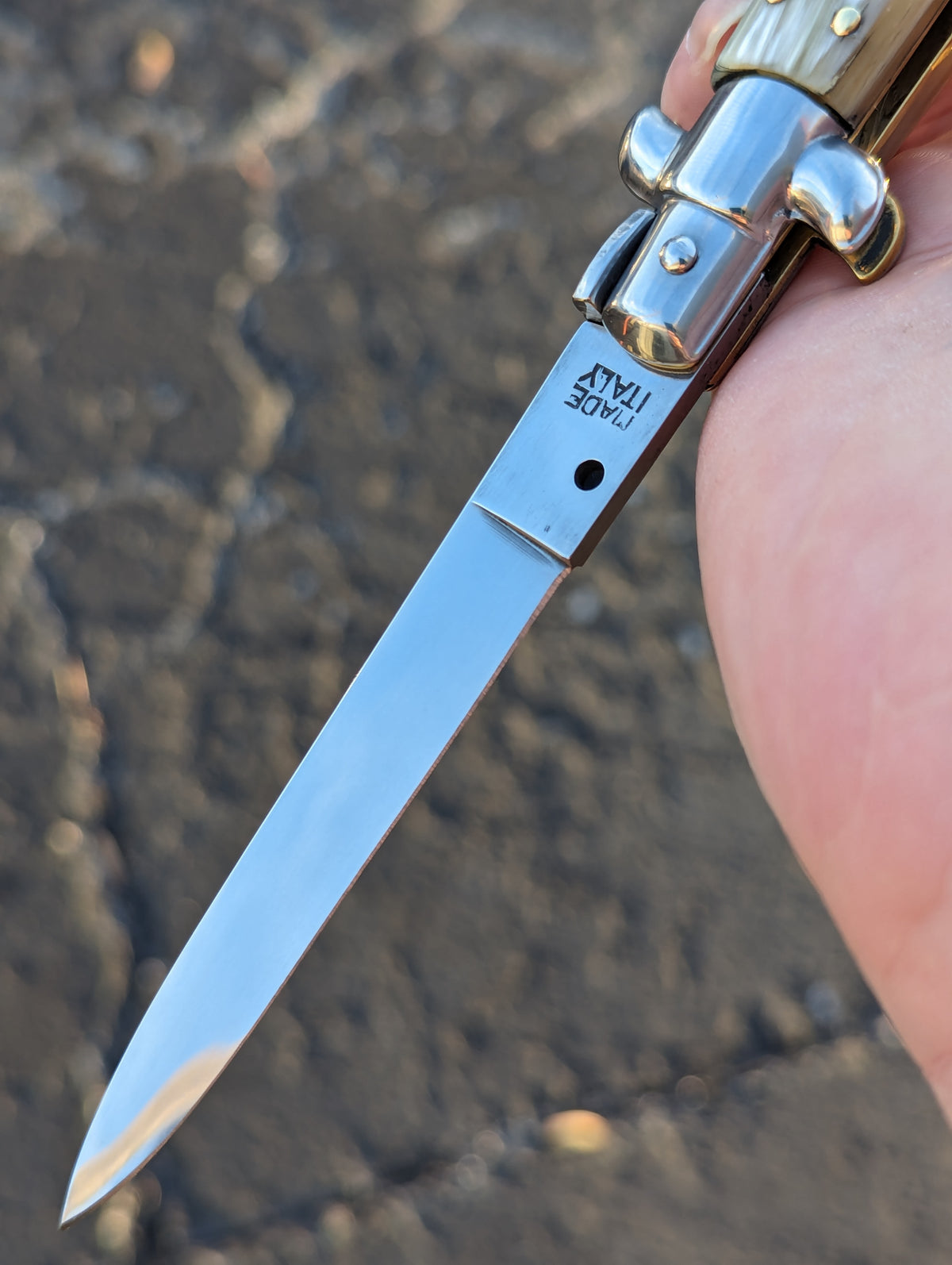 9" Renzo Beltrame Honey Horn Flat Grind Italian Stiletto