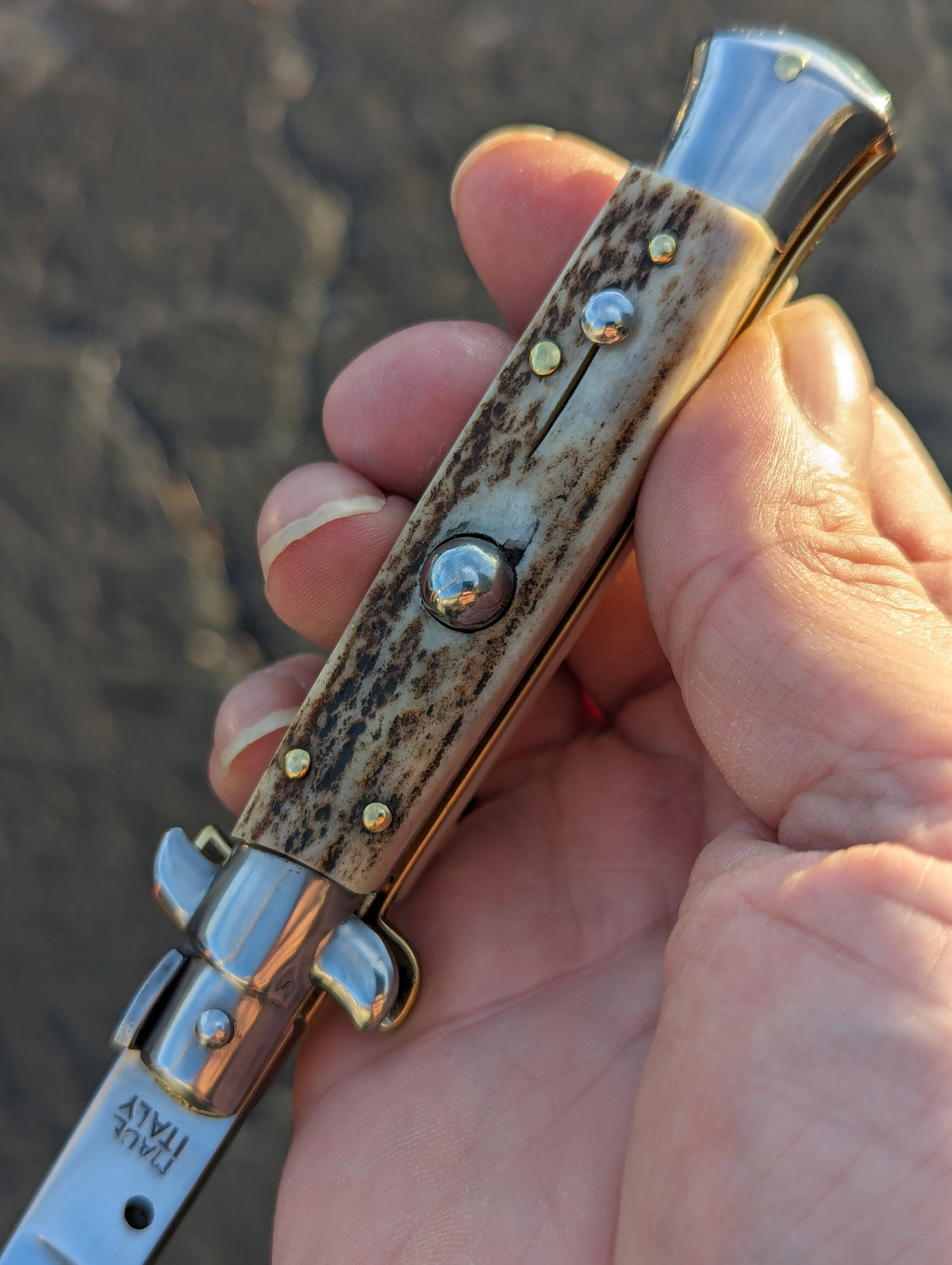 8" OL Stag Horn Flat Grind Handmade Italian Stiletto 2